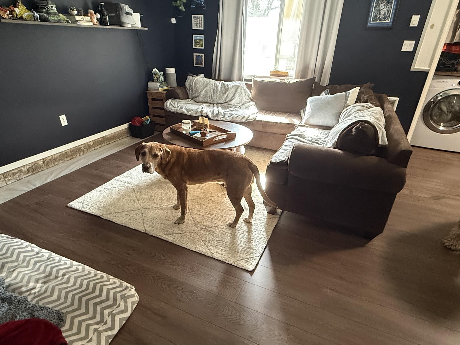 Floor Coverings International of Vancouver