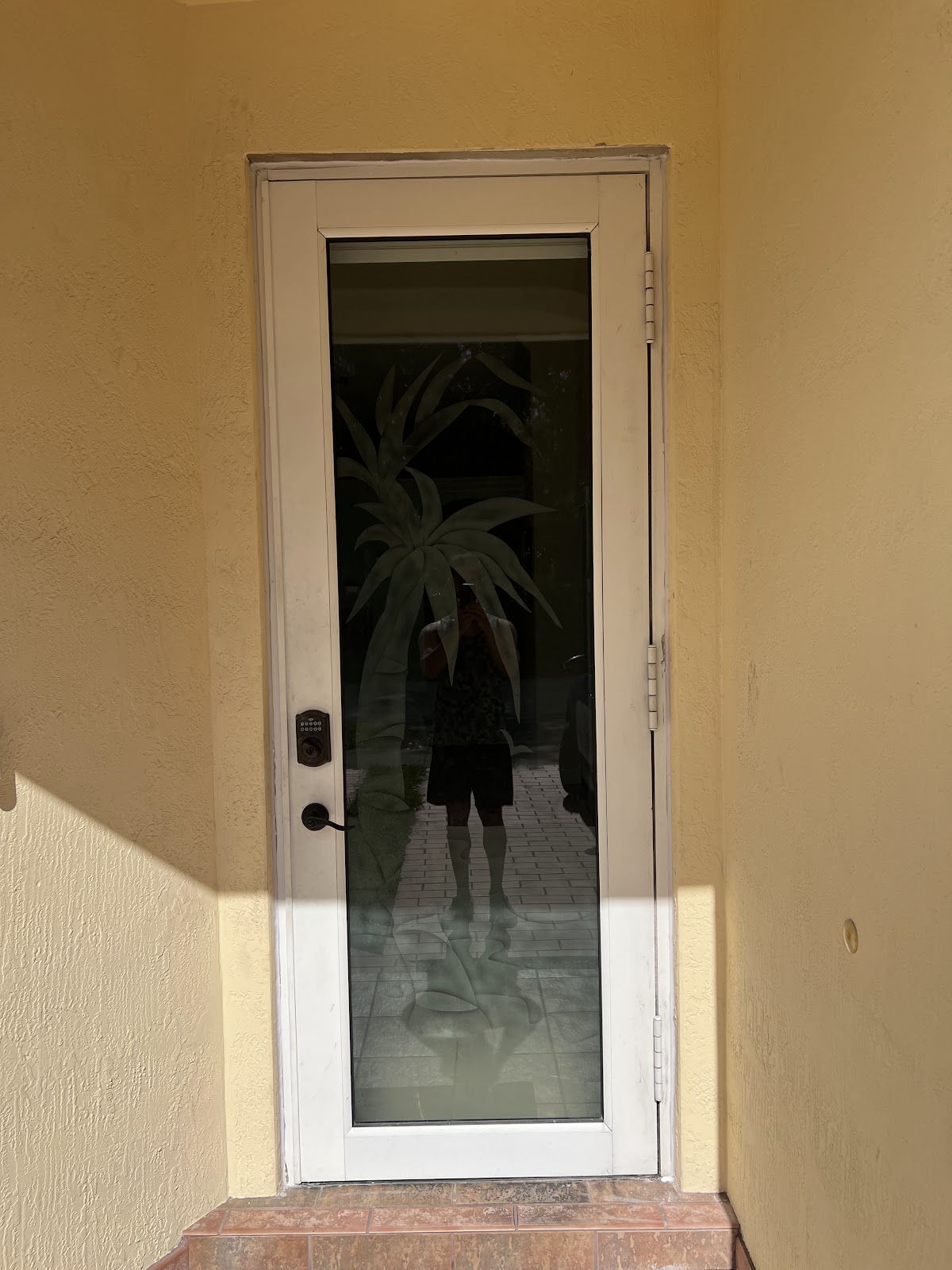 A&E Doors and Windows