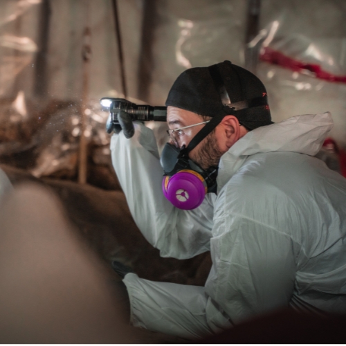JTEC Pest Control