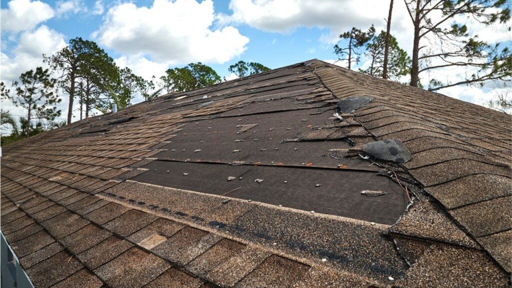Roman Roofing Inc