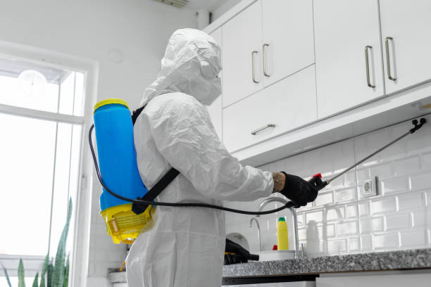 Affordable Springfield Exterminators