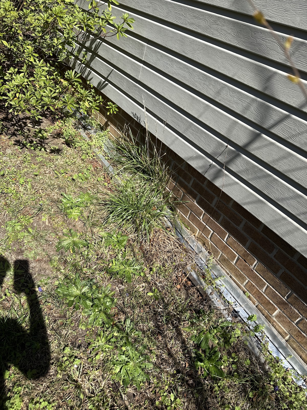 SunPower®