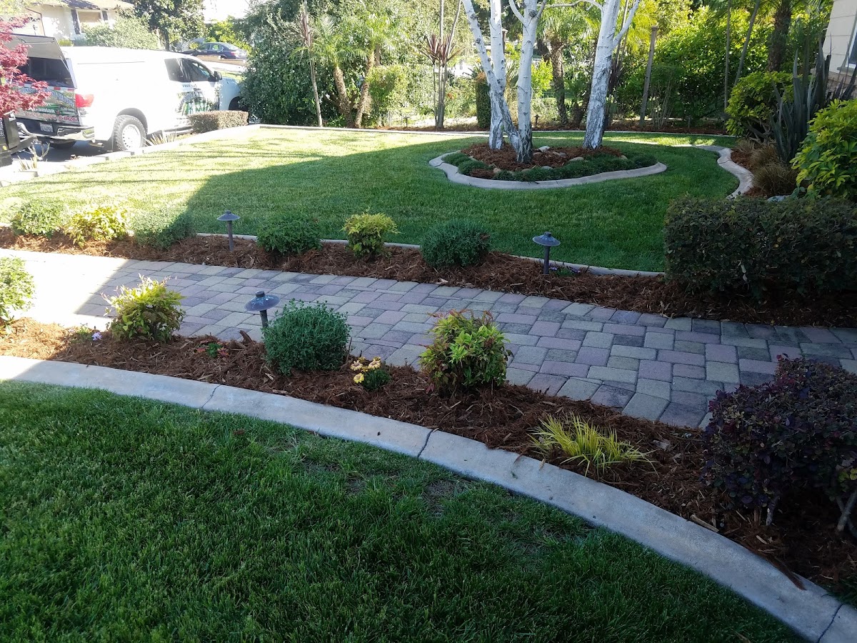 DAMIAN .LANDSCAPING