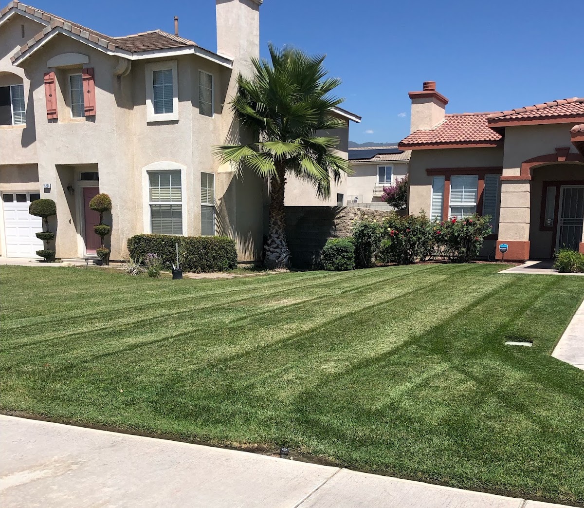 Pure Landscaping
