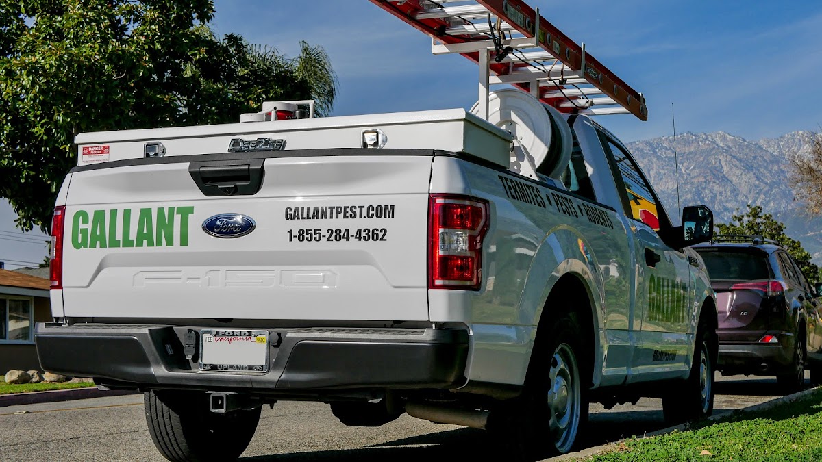 Gallant Termite & Pest Control