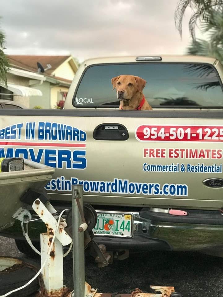 Business photo