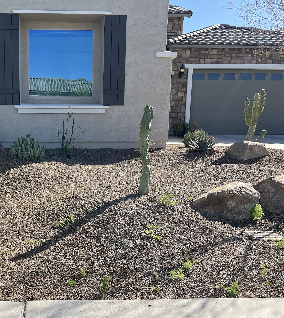 Evergreen Pest and Termite