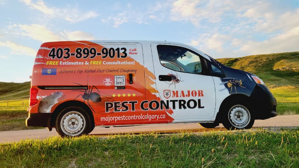 Major Pest Control Red Deer Inc