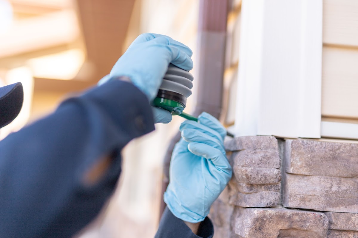 Fox Pest Control Oxford