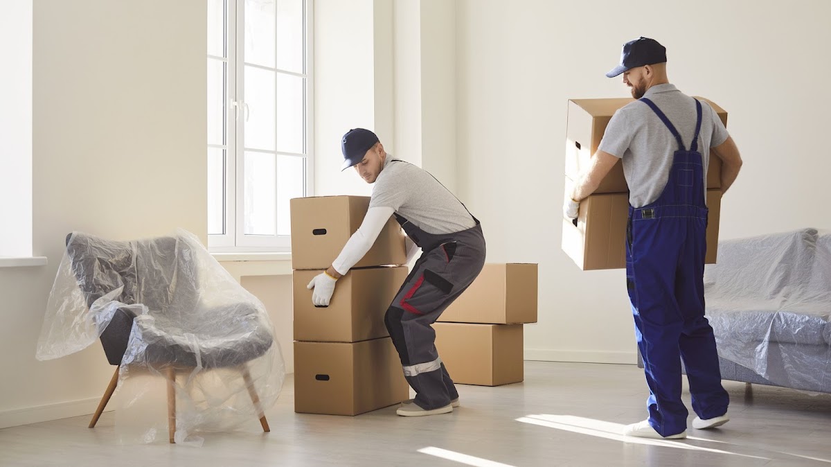 Titan Movers Ltd