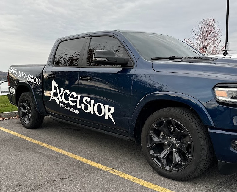 Excelsior Pest Group