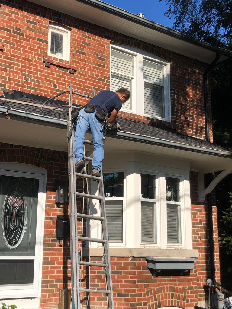 Pestend Pest Control Vaughan