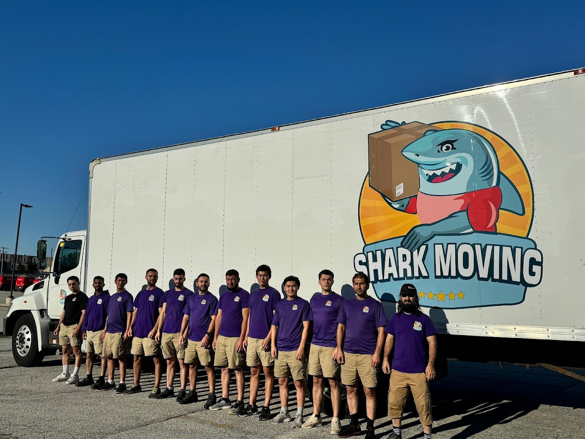 Shark Moving