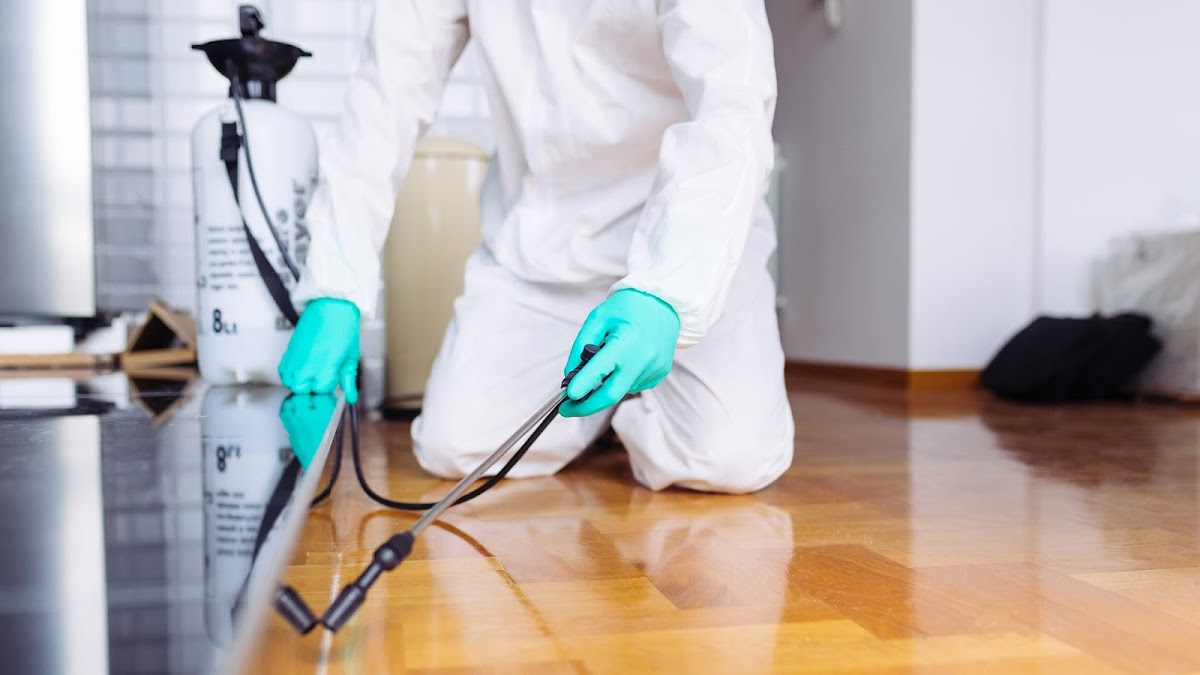 Acme Pest Solutions