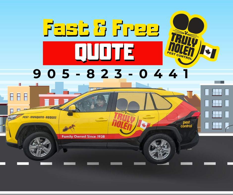 Truly Nolen Pest Control & Exterminators Oakville