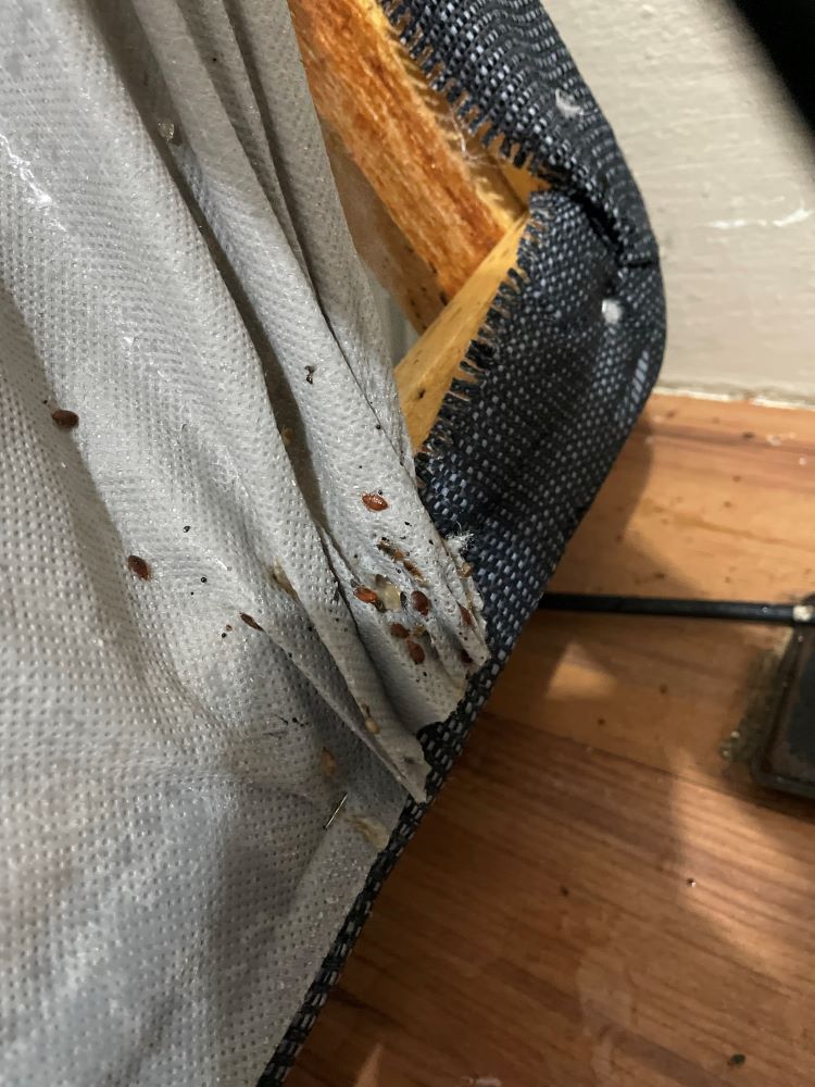 PA Pest Control Services