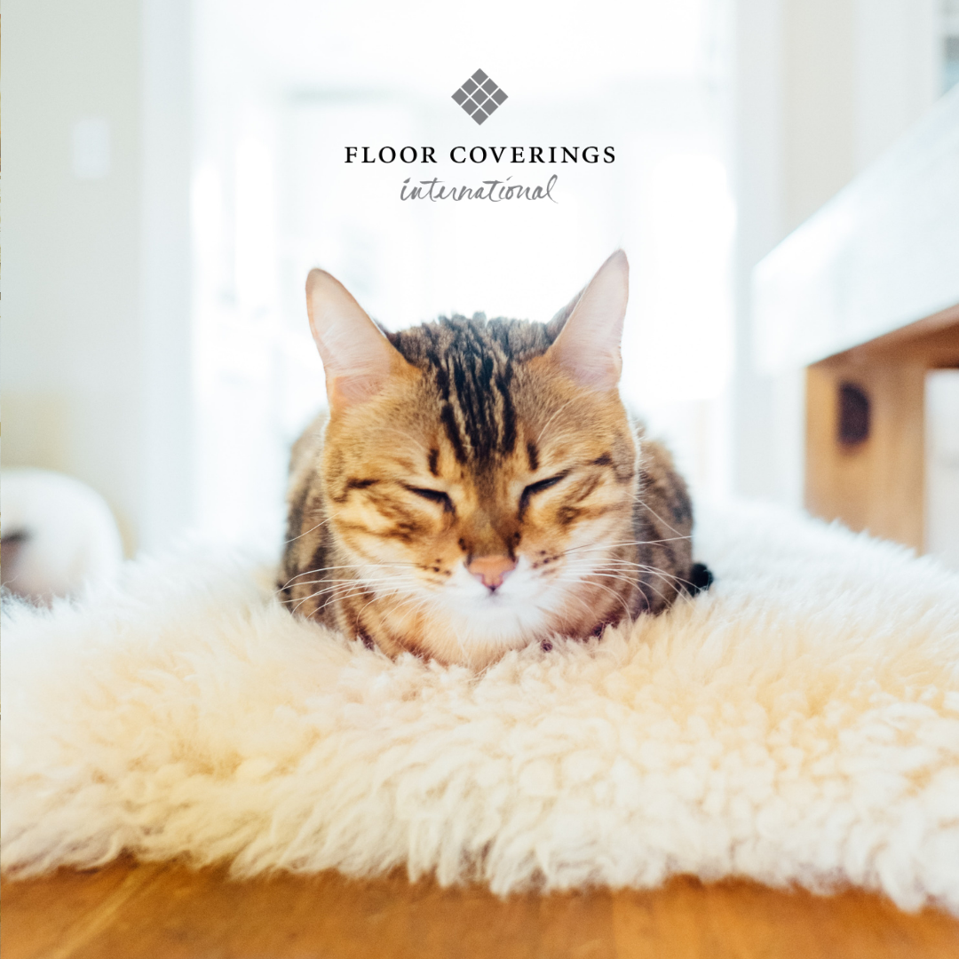 Floor Coverings International of Greater Toledo photo 5