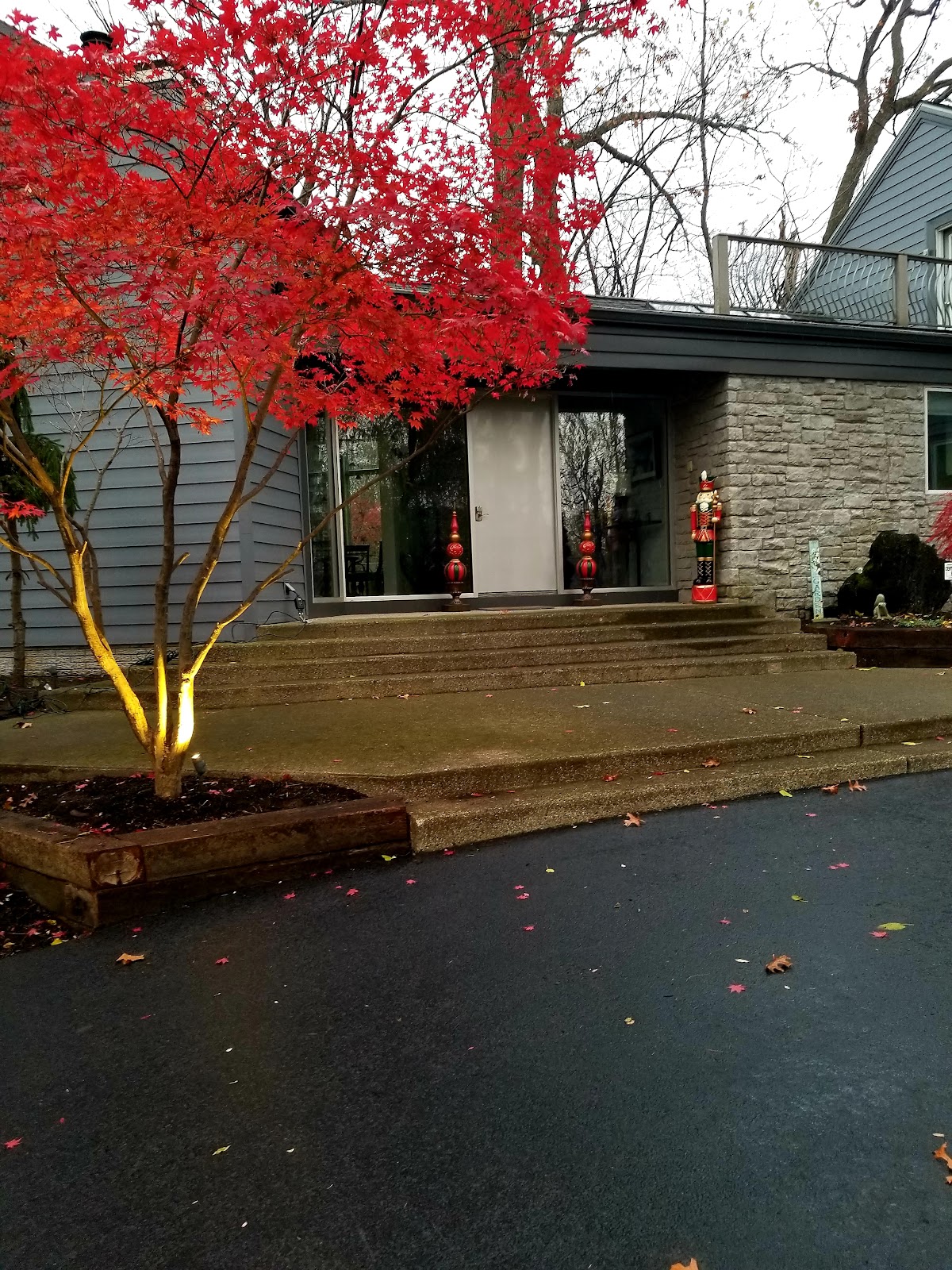 Greenix Pest Control photo 5