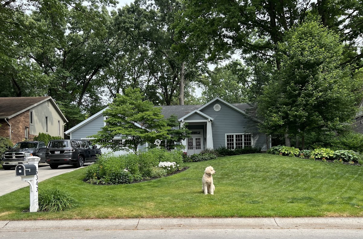 Greenix Pest Control photo 8