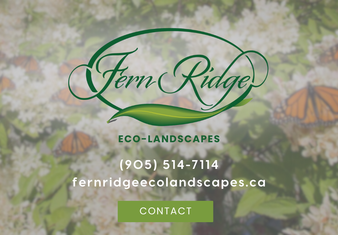 Fern Ridge Eco-Landscapes