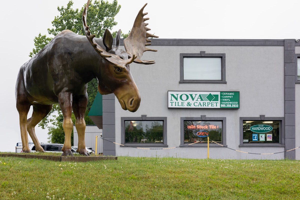 Nova Tile & Carpet