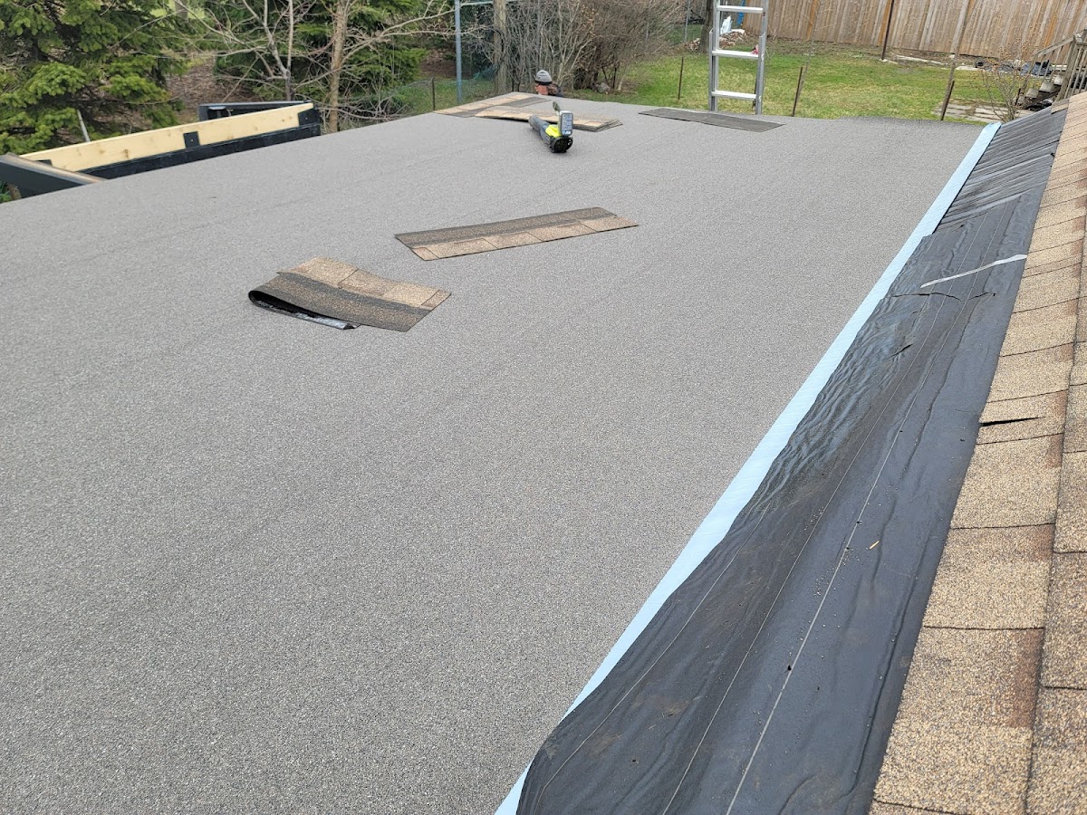 ROOF WIZARD INC