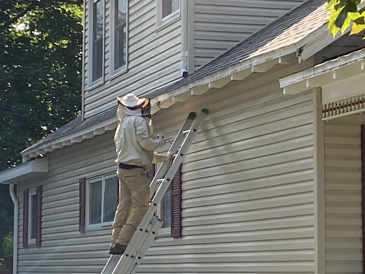 Northeast Pest Control Inc