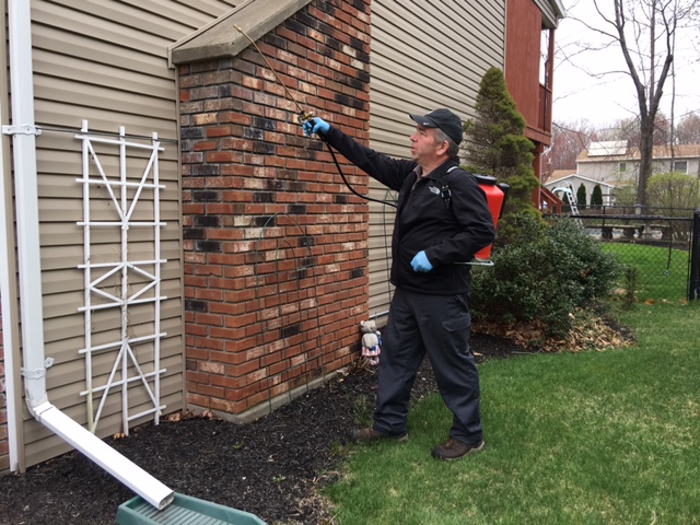 Family Pest Solutions