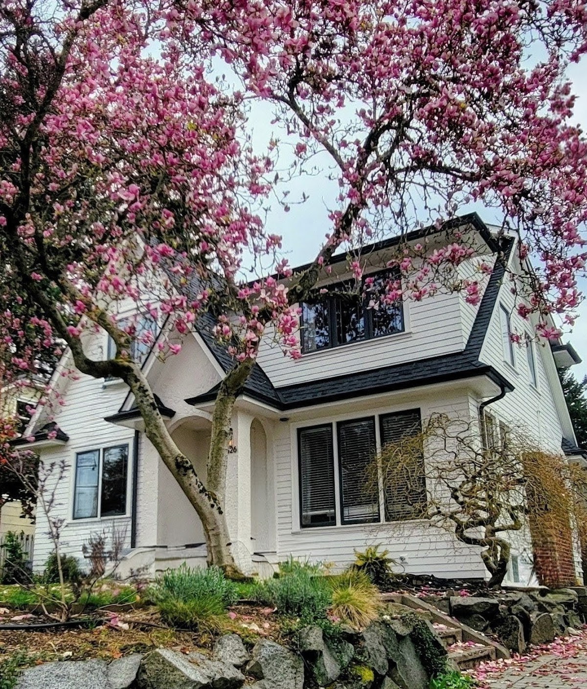 Siding Installation Service in Everett & WA