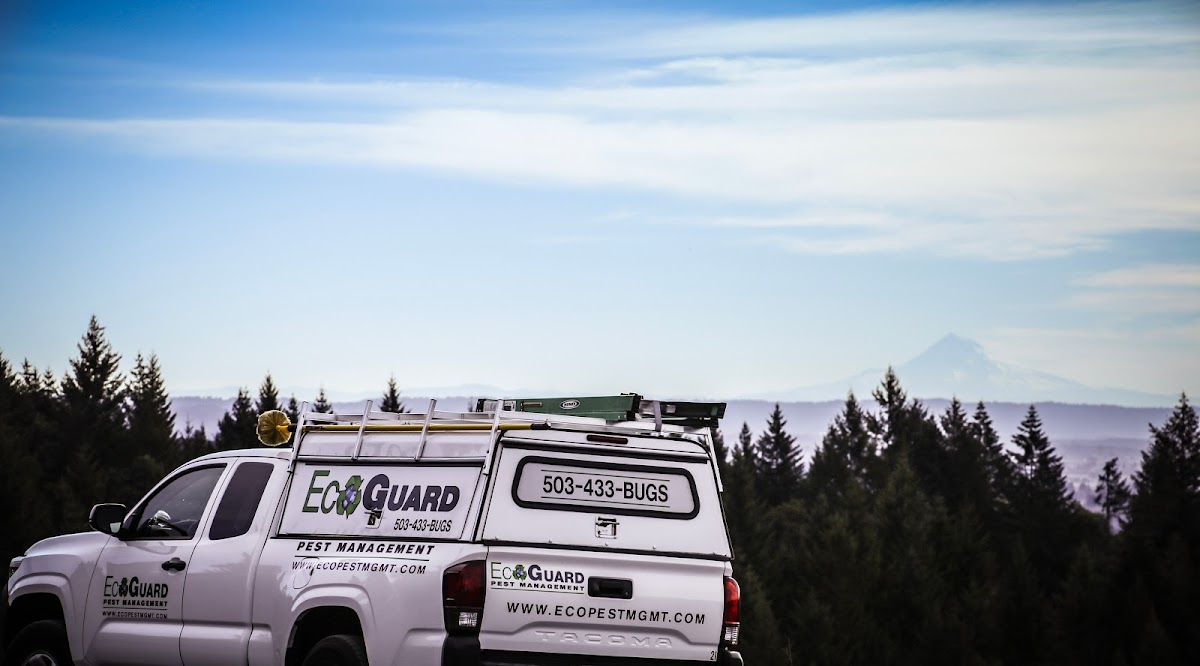 EcoGuard Pest Management