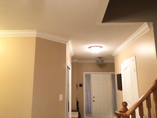 Manstrong Homes