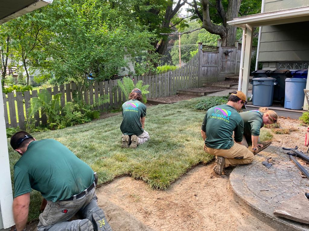 Aurora Lawn Services LLC