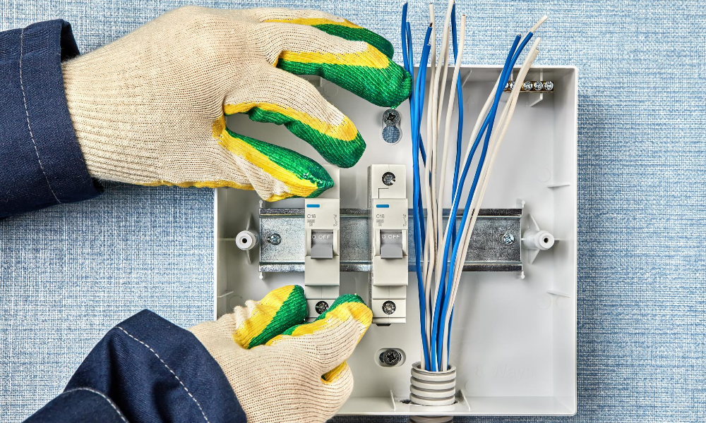 Business photo