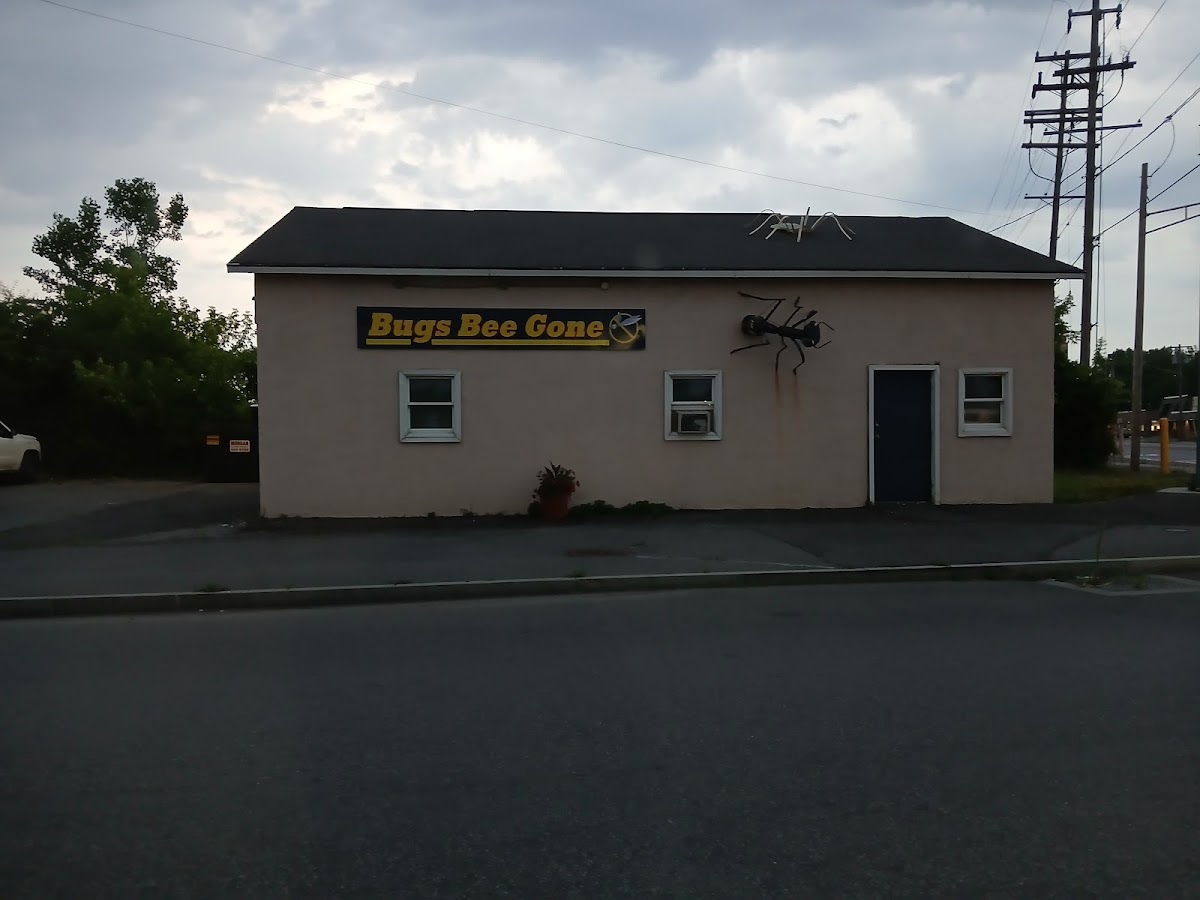 Business photo