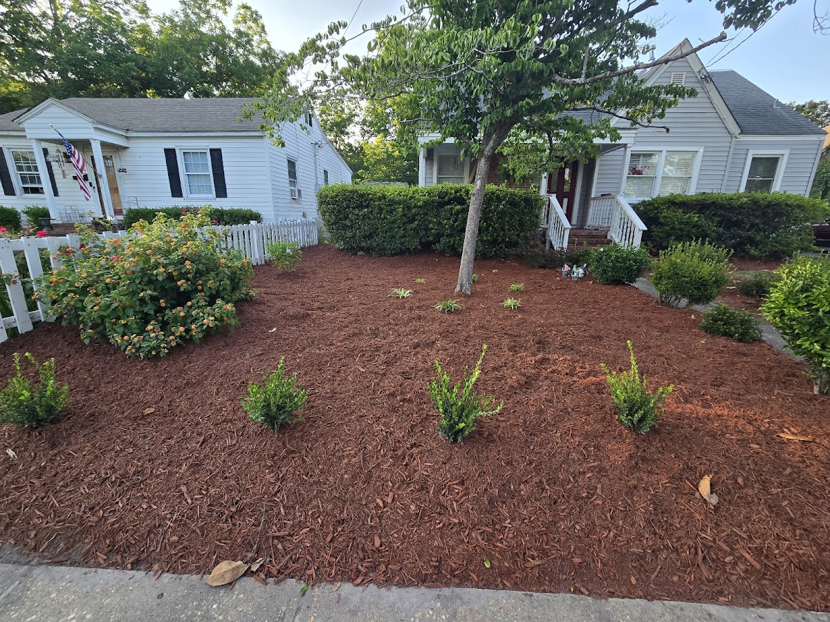 Business photo