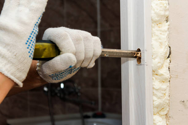 Pro Window Replacement