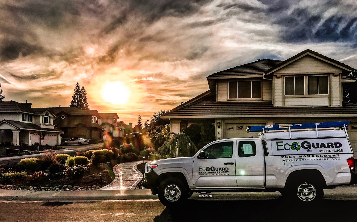 EcoGuard Pest Management