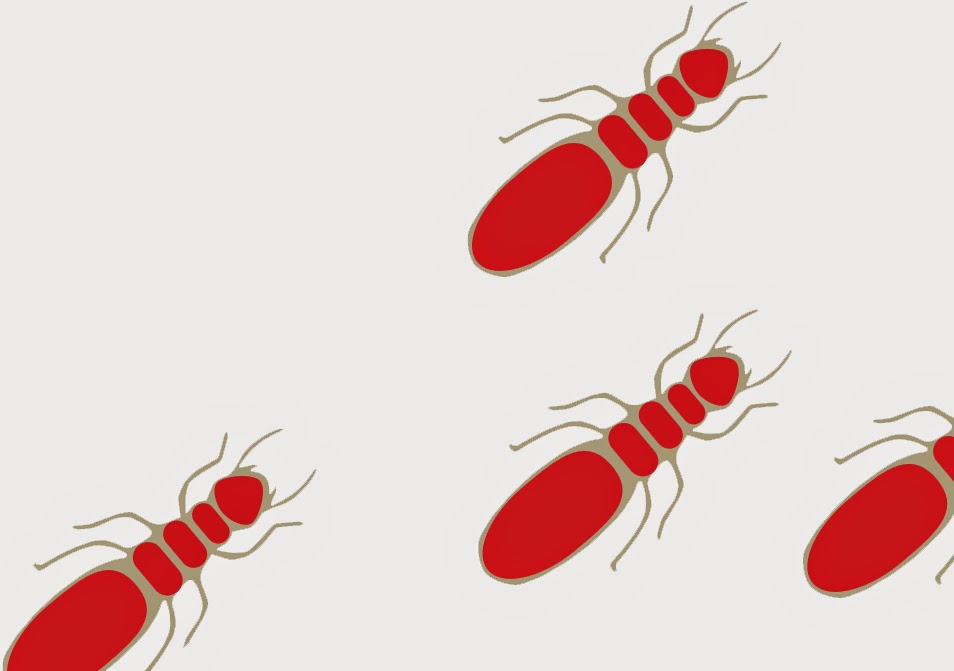 Franz Termite Control