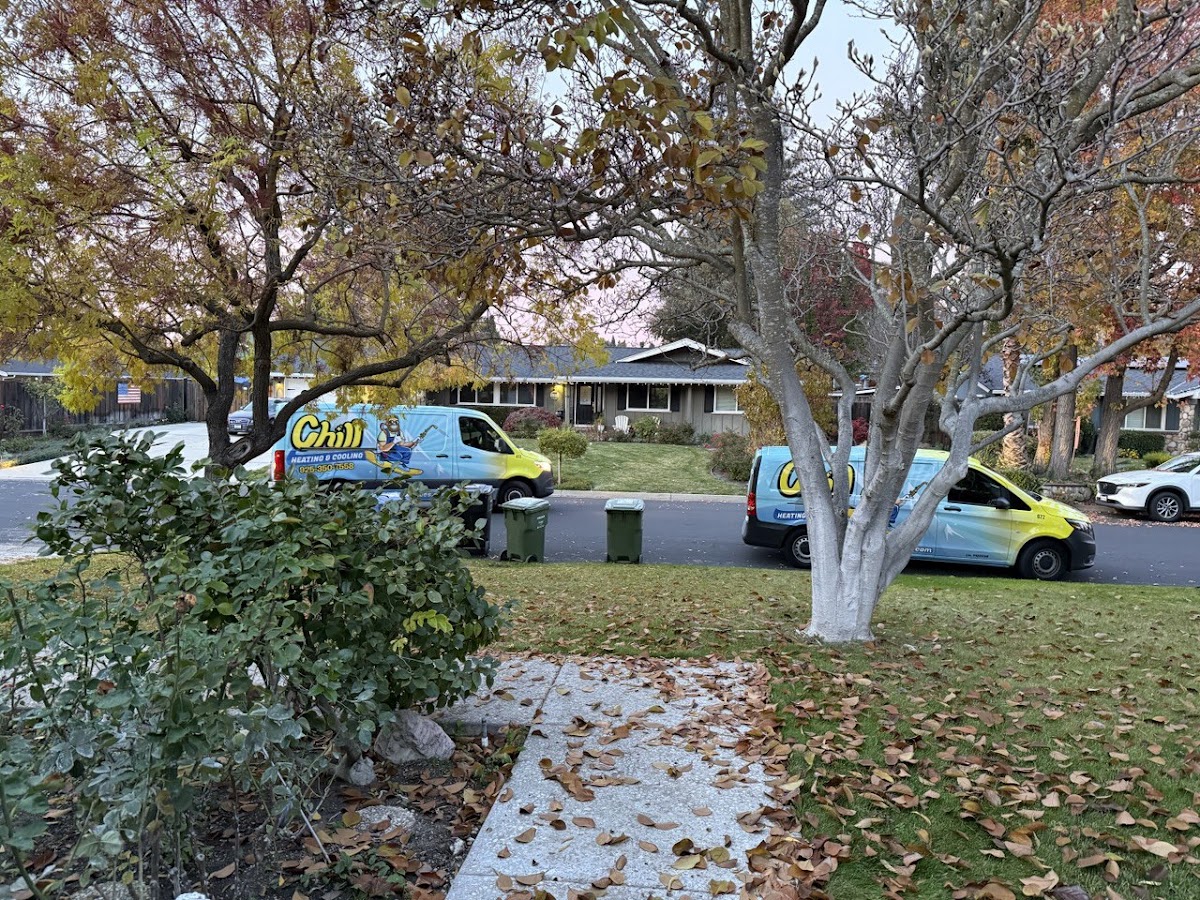 Business photo