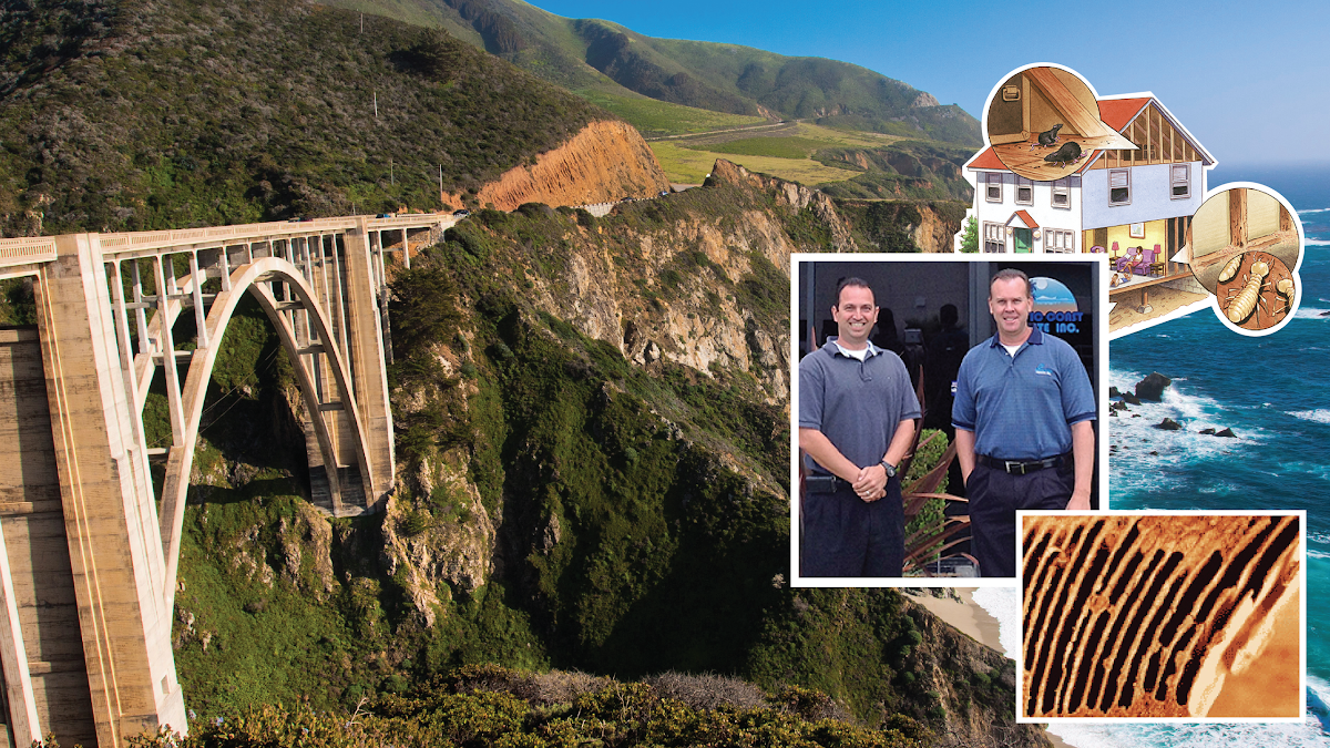 Pacific Coast Termite Inc.