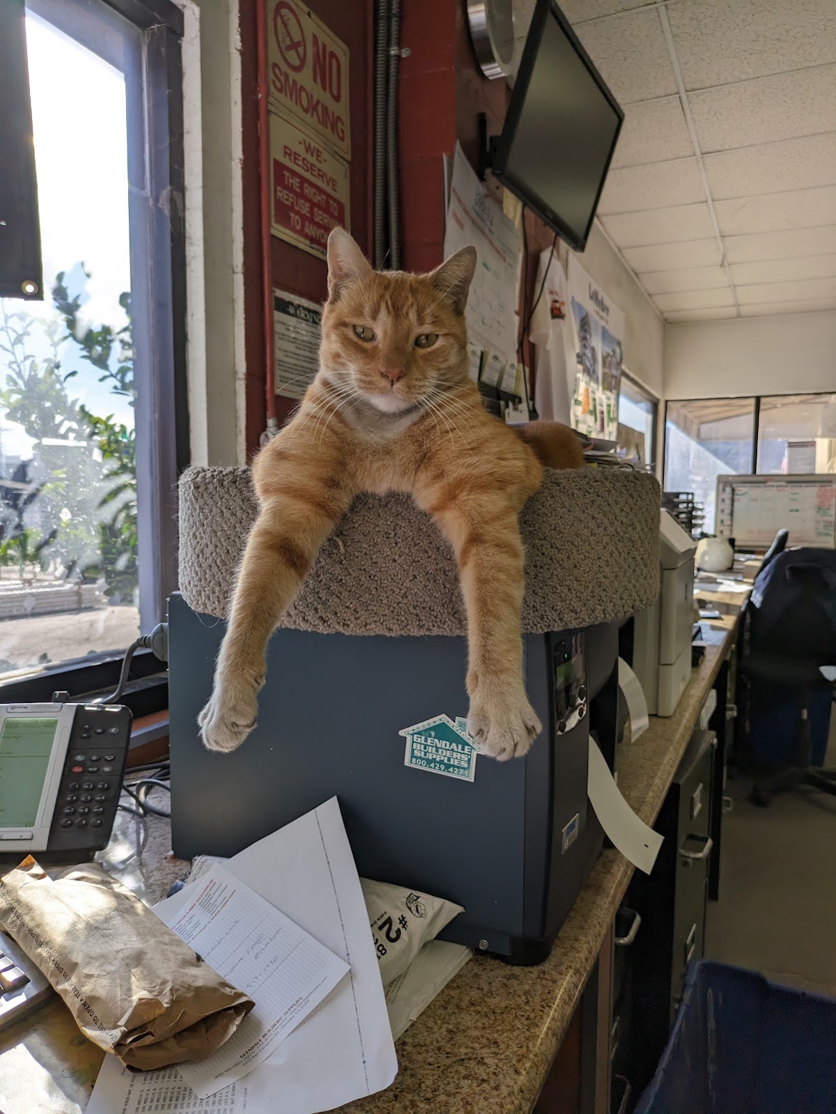 Business photo
