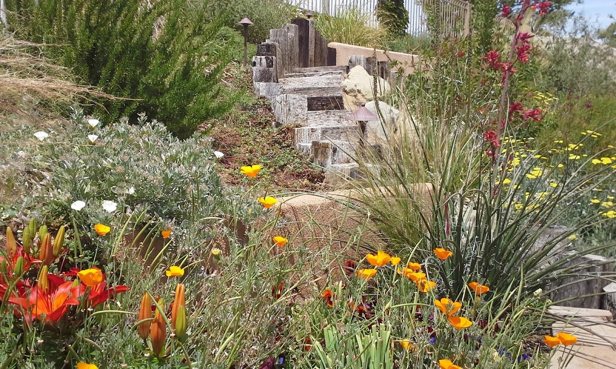 Greenbee Landscape, Inc.