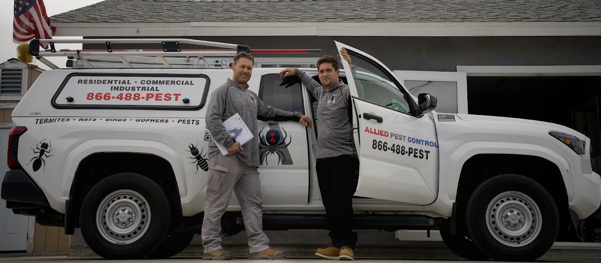 Business photo