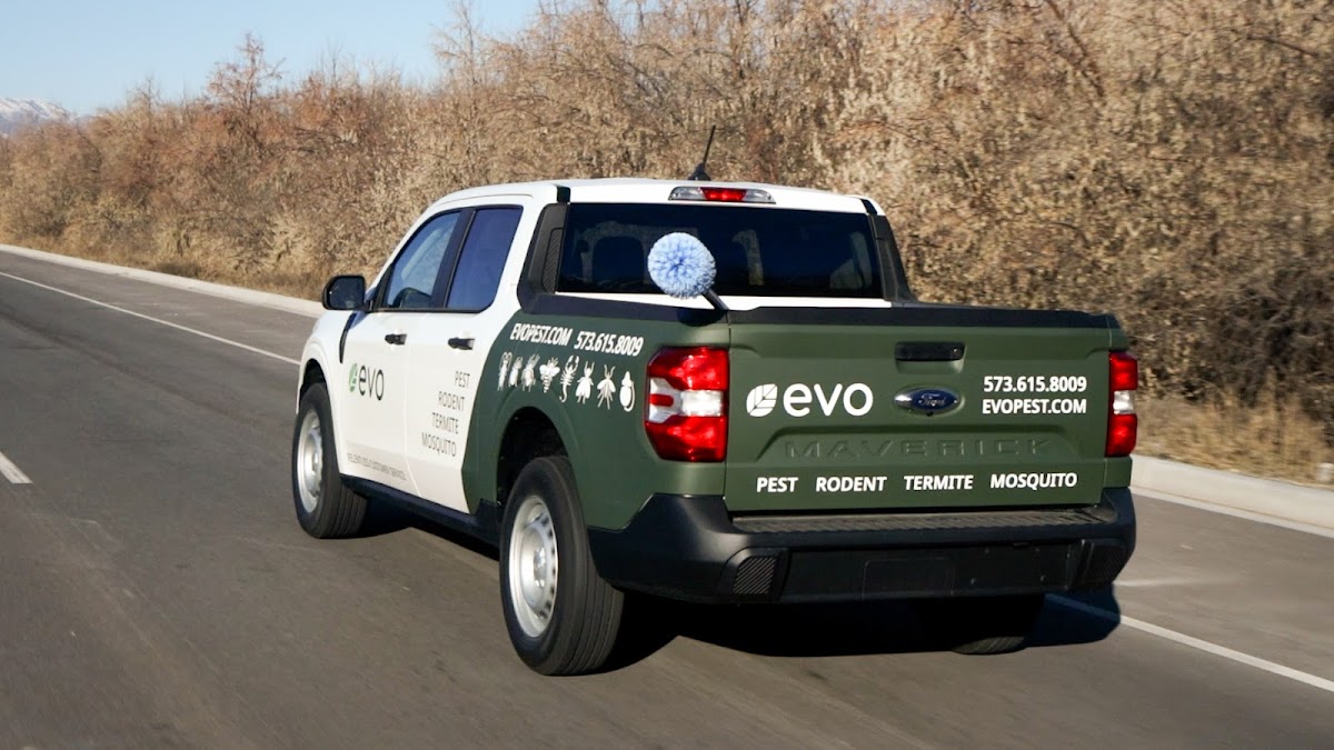 Evo Pest Control