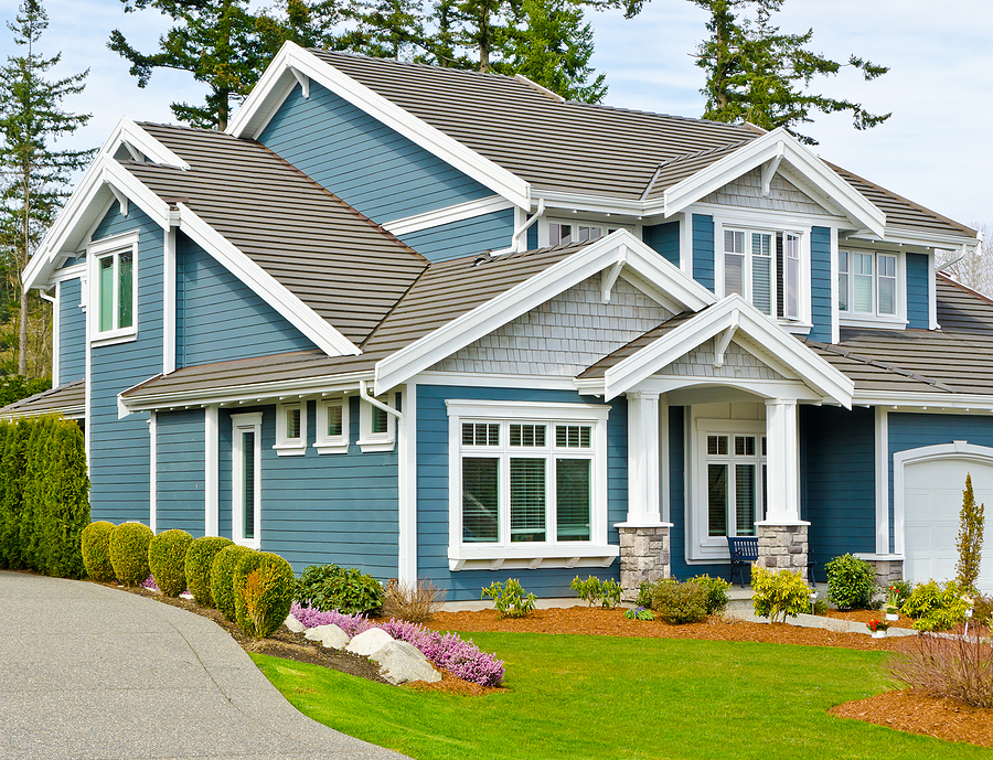 Vision Painting, Inc