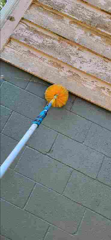 Bulwark Exterminating