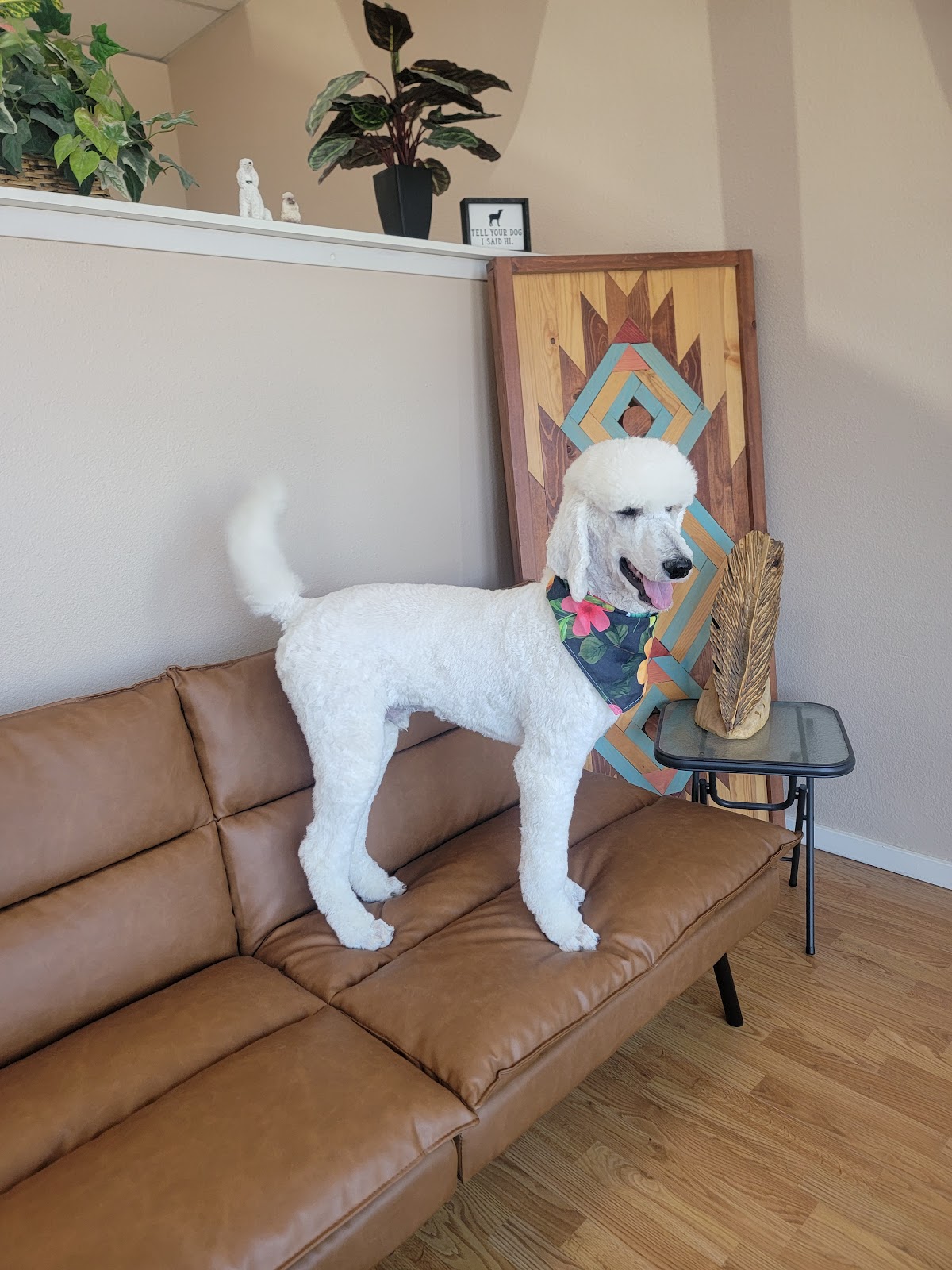 Business photo