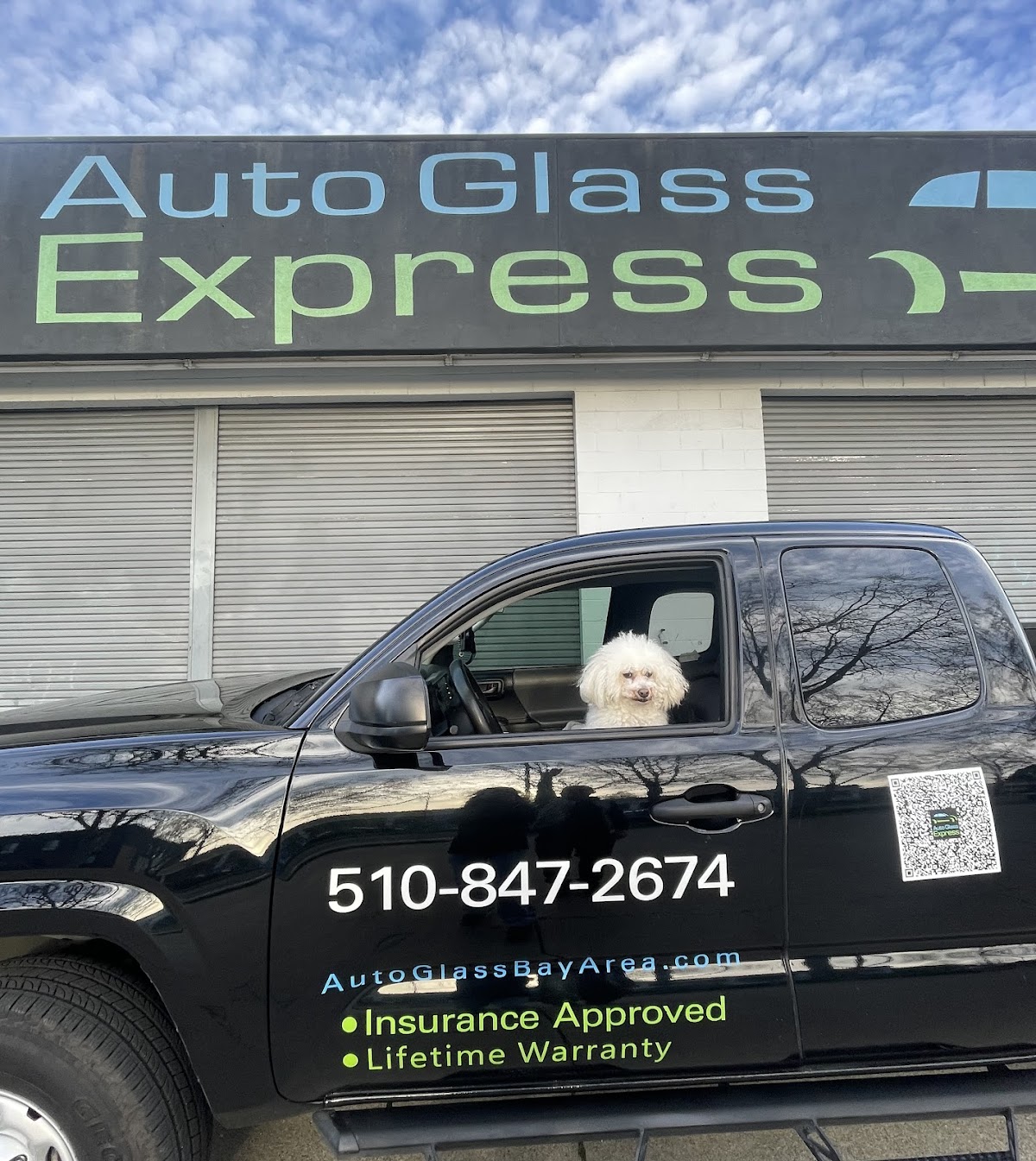 Business photo