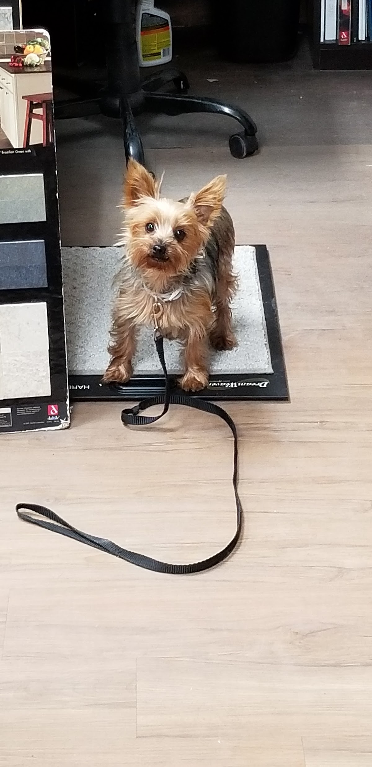 Business photo