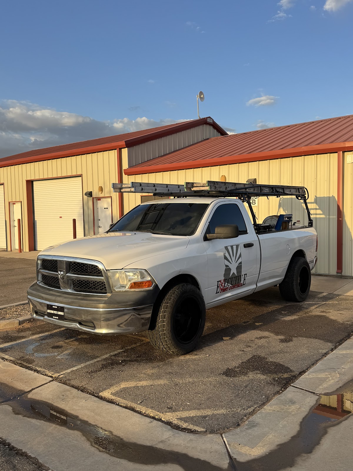 Executive Pest Solutions